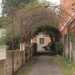Il tunnel di vegetazione che costituisce l'accesso a villa Serafina
